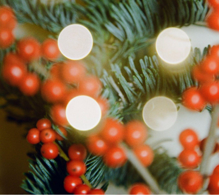 Holiday Cheer with Christmas Wreaths