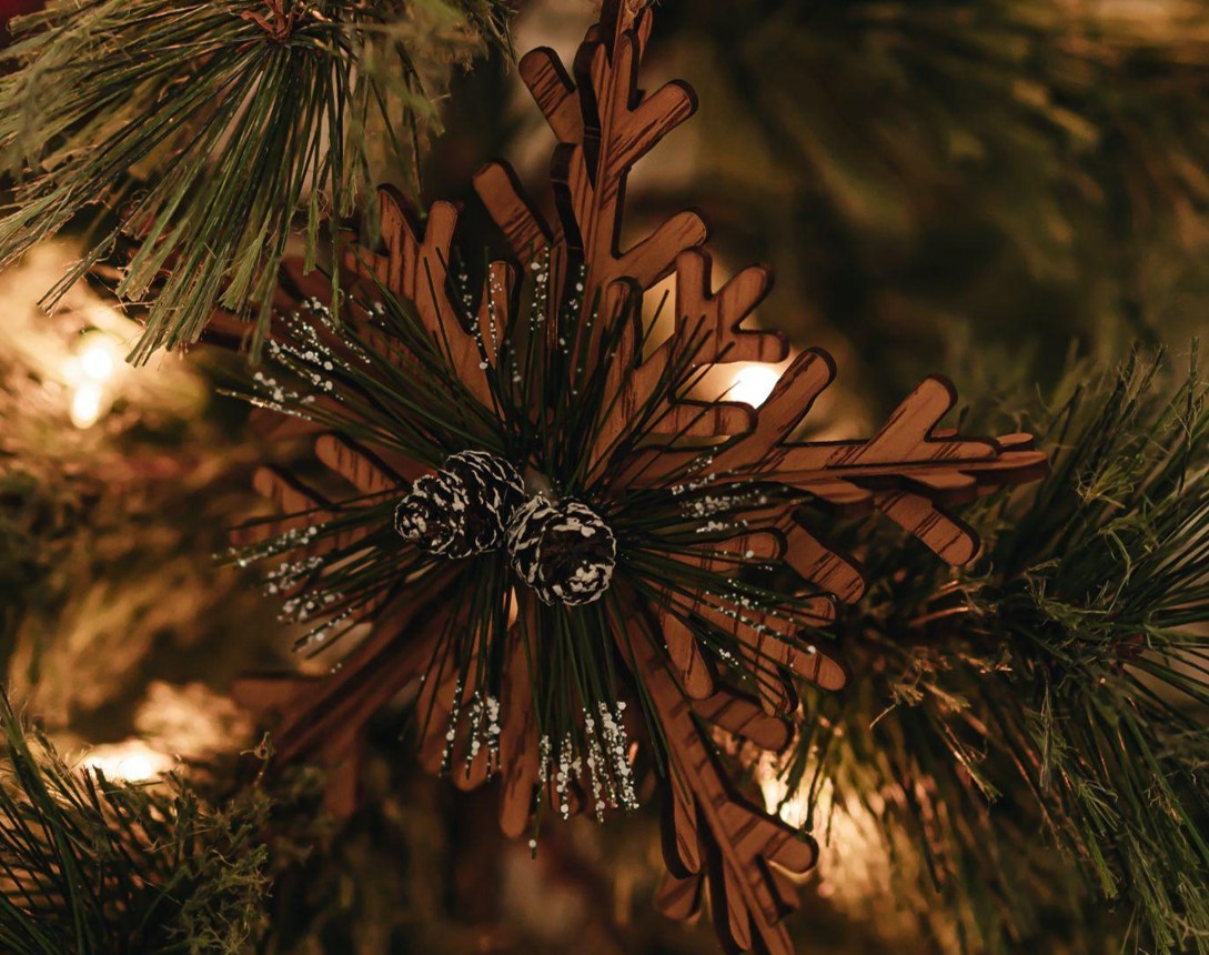 Christmas Trees on Sale: Brighten Your Holidays with Love